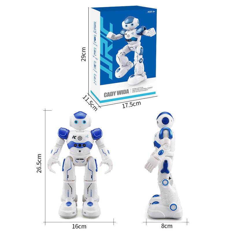 Dancing Gesture Control RC Robot Toy Blue Pink