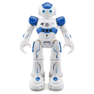 Dancing Gesture Control RC Robot Toy Blue Pink