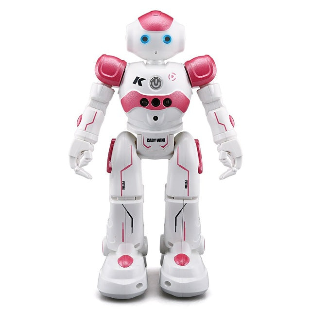 Dancing Gesture Control RC Robot Toy Blue Pink