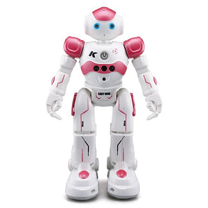 Dancing Gesture Control RC Robot Toy Blue Pink