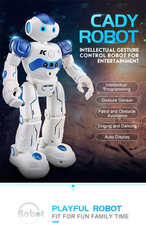 Dancing Gesture Control RC Robot Toy Blue Pink