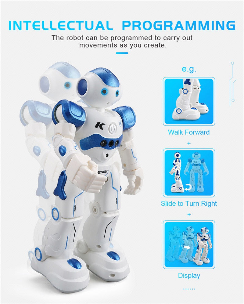 Dancing Gesture Control RC Robot Toy Blue Pink