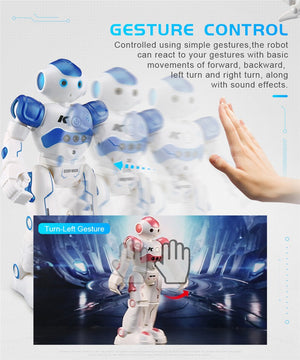 Dancing Gesture Control RC Robot Toy Blue Pink