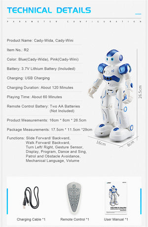 Dancing Gesture Control RC Robot Toy Blue Pink