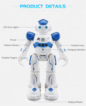 Dancing Gesture Control RC Robot Toy Blue Pink